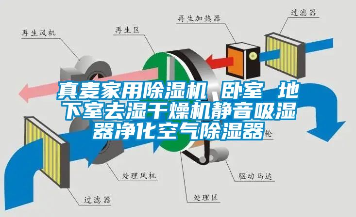 真麦家用除湿机 卧室 地下室去湿干燥机静音吸湿器净化空气除湿器