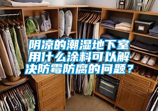 阴凉的潮湿地下室用什么涂料可以解决防霉防腐的问题？