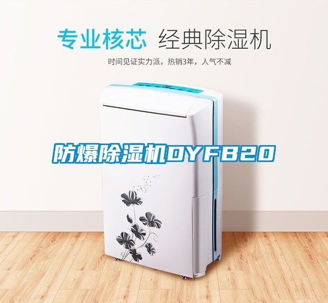 防爆除湿机DYFB20