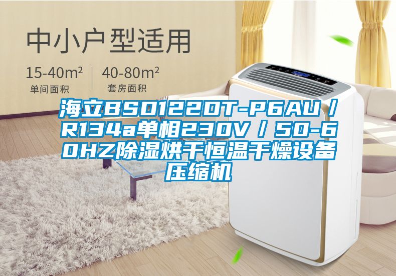 海立BSD122DT-P6AU／R134a单相230V／50-60HZ除湿烘干恒温干燥设备压缩机