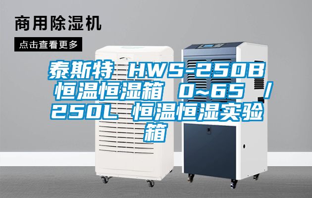 泰斯特 HWS-250B 恒温恒湿箱 0~65℃／250L 恒温恒湿实验箱