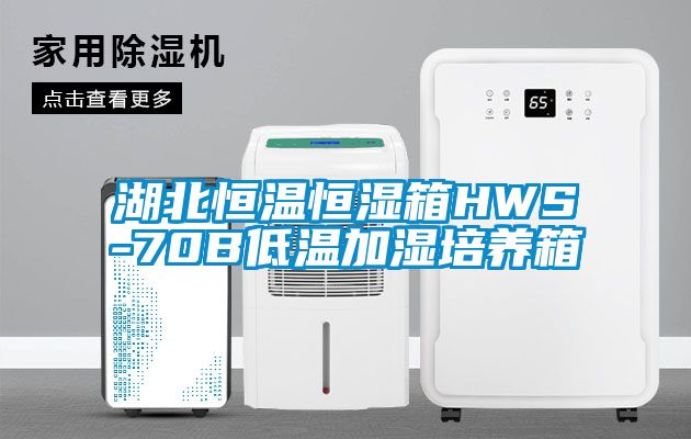 湖北恒温恒湿箱HWS-70B低温加湿培养箱