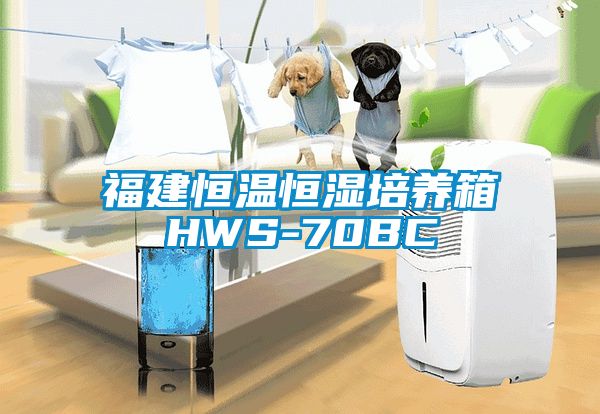 福建恒温恒湿培养箱HWS-70BC