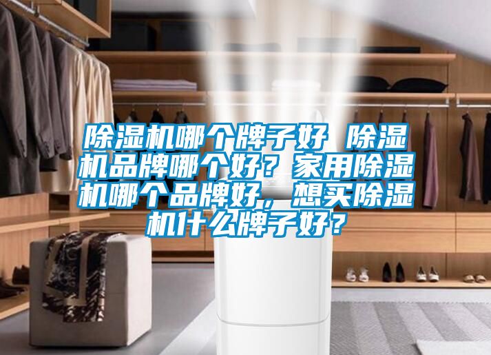 除湿机哪个牌子好 除湿机品牌哪个好？家用除湿机哪个品牌好，想买除湿机什么牌子好？