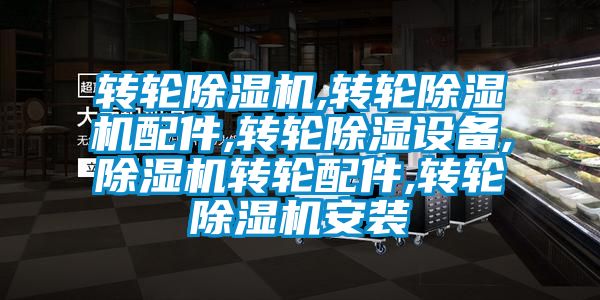 转轮除湿机,转轮除湿机配件,转轮除湿设备,除湿机转轮配件,转轮除湿机安装