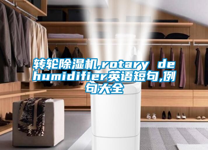 转轮除湿机,rotary dehumidifier英语短句,例句大全