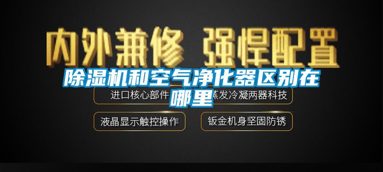 除湿机和空气净化器区别在哪里