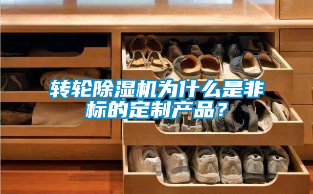 转轮除湿机为什么是非标的定制产品？