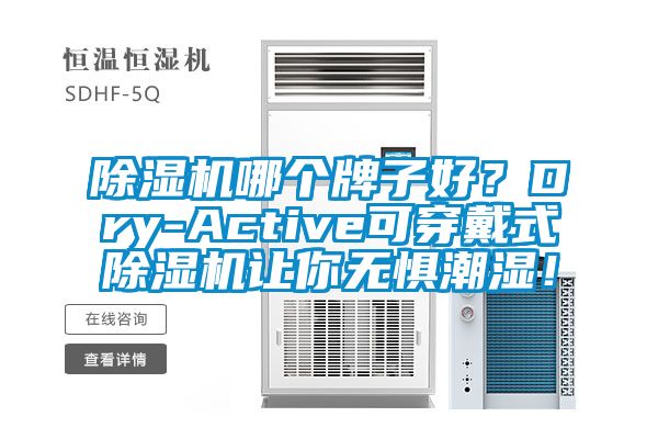 除湿机哪个牌子好？Dry-Active可穿戴式除湿机让你无惧潮湿！