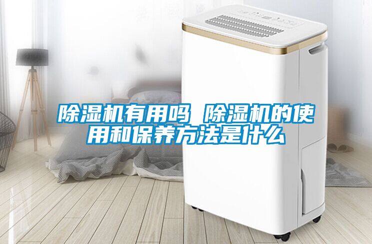 除湿机有用吗 除湿机的使用和保养方法是什么