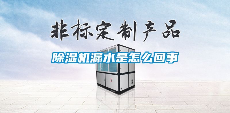 除湿机漏水是怎么回事