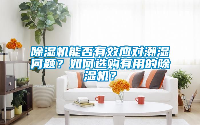 除湿机能否有效应对潮湿问题？如何选购有用的除湿机？