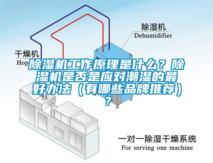 除湿机工作原理是什么？除湿机是否是应对潮湿的最好办法（有哪些品牌推荐）？