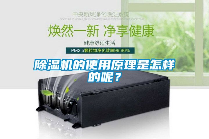 除湿机的使用原理是怎样的呢？