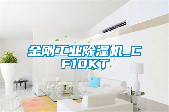 金刚工业除湿机_CF10KT