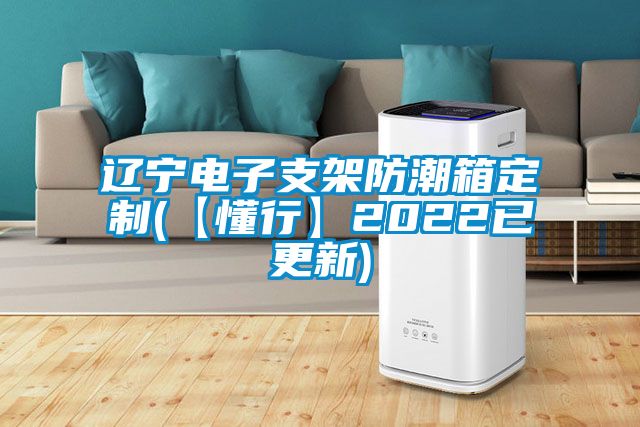 辽宁电子支架防潮箱定制(【懂行】2022已更新)