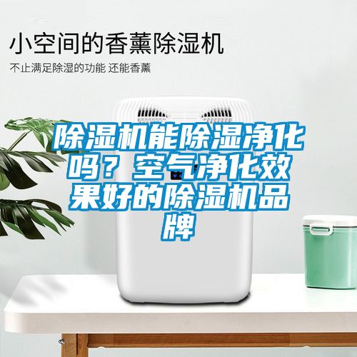 除湿机能除湿净化吗？空气净化效果好的除湿机品牌