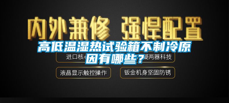 高低温湿热试验箱不制冷原因有哪些？