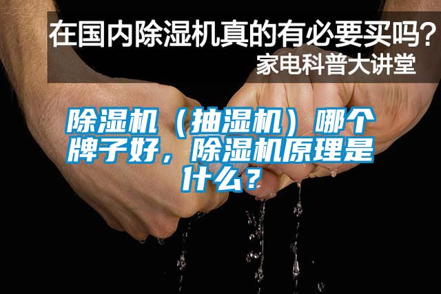 除湿机（抽湿机）哪个牌子好，除湿机原理是什么？