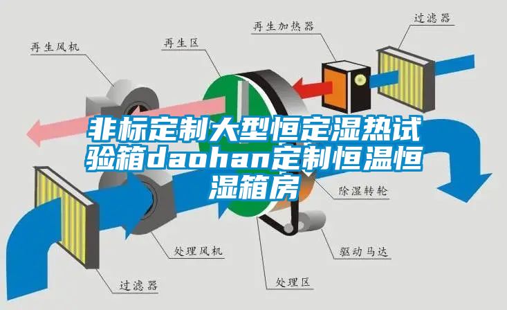 非标定制大型恒定湿热试验箱daohan定制恒温恒湿箱房