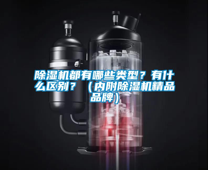 除湿机都有哪些类型？有什么区别？（内附除湿机精品品牌）