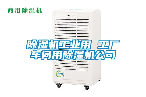 除湿机工业用 工厂车间用除湿机公司