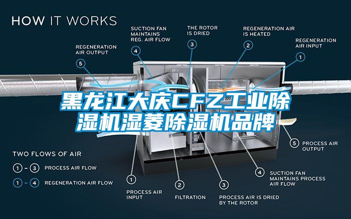 黑龙江大庆CFZ工业除湿机湿菱除湿机品牌