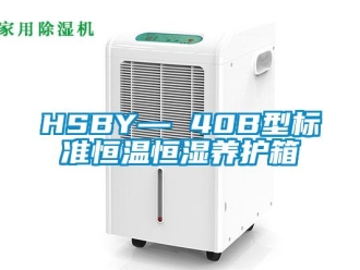 常见问题HSBY— 40B型标准恒温恒湿养护箱