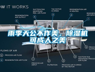 知识百科雨季天公不作美，除湿机可成人之美