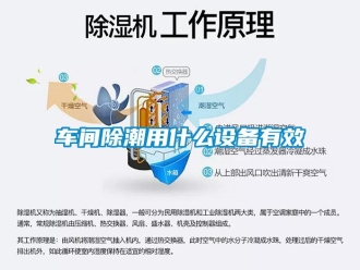 企业新闻车间除潮用什么设备有效