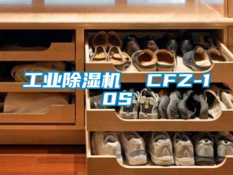 常见问题工业除湿机  CFZ-10S