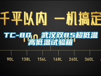 常见问题TC-80  武汉双85超低温高低温试验箱