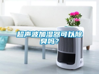 常见问题超声波加湿器可以除臭吗？