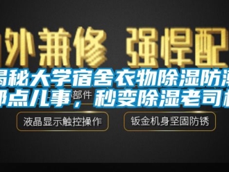 常见问题揭秘大学宿舍衣物除湿防潮那点儿事，秒变除湿老司机