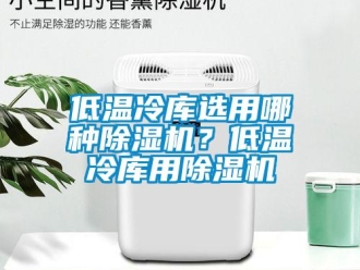 企业新闻低温冷库选用哪种除湿机？低温冷库用除湿机