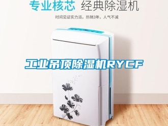 常见问题工业吊顶除湿机RYCF