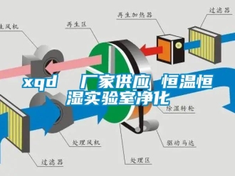 常见问题xqd  厂家供应 恒温恒湿实验室净化