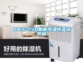 常见问题HWS-250智能恒温恒湿培养箱