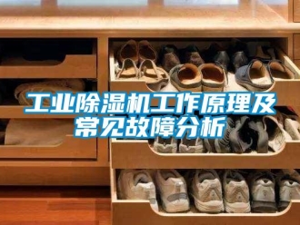 企业新闻工业除湿机工作原理及常见故障分析