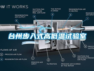 常见问题台州步入式高低温试验室