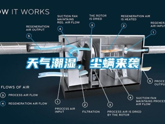 知识百科天气潮湿，尘螨来袭