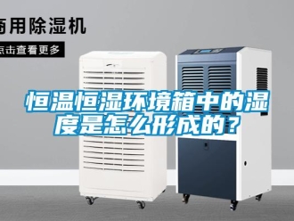 知识百科恒温恒湿环境箱中的湿度是怎么形成的？