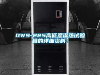 常见问题GWS-225高低温湿热试验箱的详细资料：