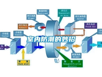 常见问题室内防潮的妙招