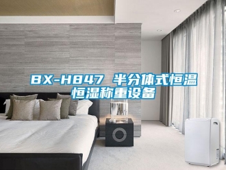 常见问题BX-H847 半分体式恒温恒湿称重设备