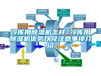 行业新闻冷库用除湿机怎样 冷库用除湿机优势以及注意事项介绍