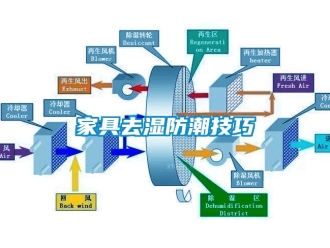 常见问题家具去湿防潮技巧