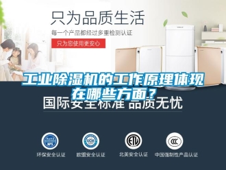 企业新闻工业除湿机的工作原理体现在哪些方面？