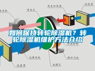 常见问题如何保持转轮除湿机？转轮除湿机维护方法介绍