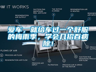 常见问题爱车，就给车过一个舒服的梅雨季，学会几招百病除！